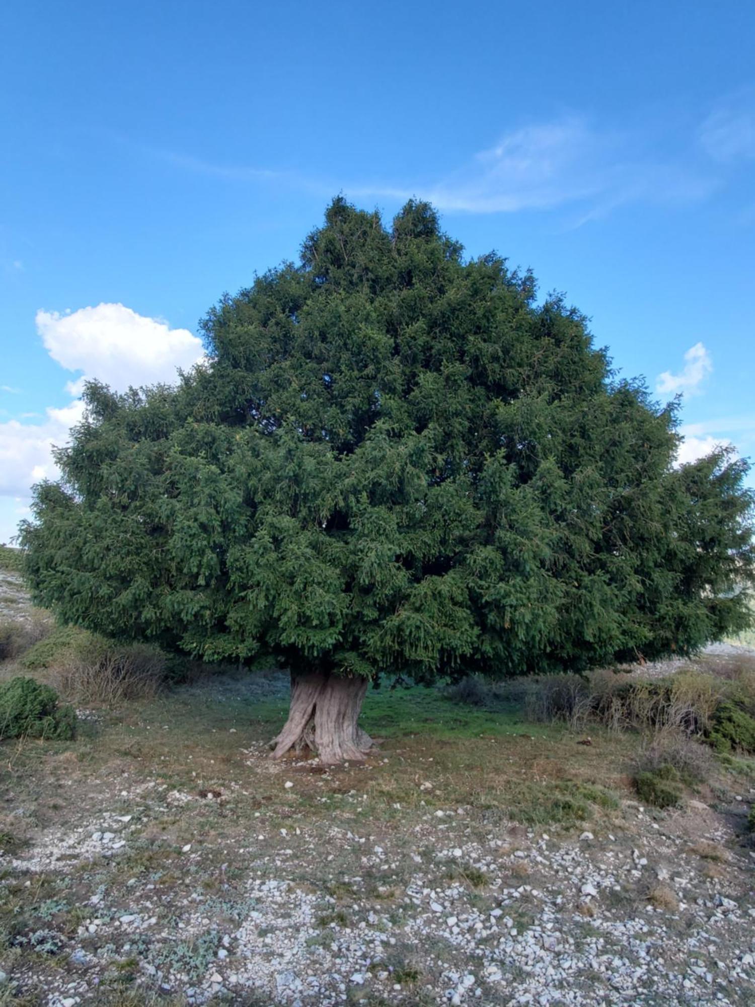 הוילה Riópar Casa 25 מראה חיצוני תמונה